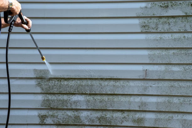 Trusted Heyworth, IL Siding Installation & Repair Experts