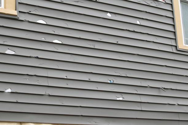 Best Brick Veneer Siding  in Heyworth, IL