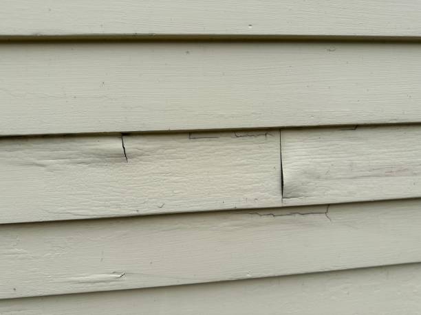 Best Siding Removal and Disposal  in Heyworth, IL